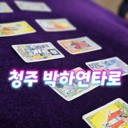 [청주] 타로 타로점 사주 소름돋게 잘보는곳 주성동 박하연타로