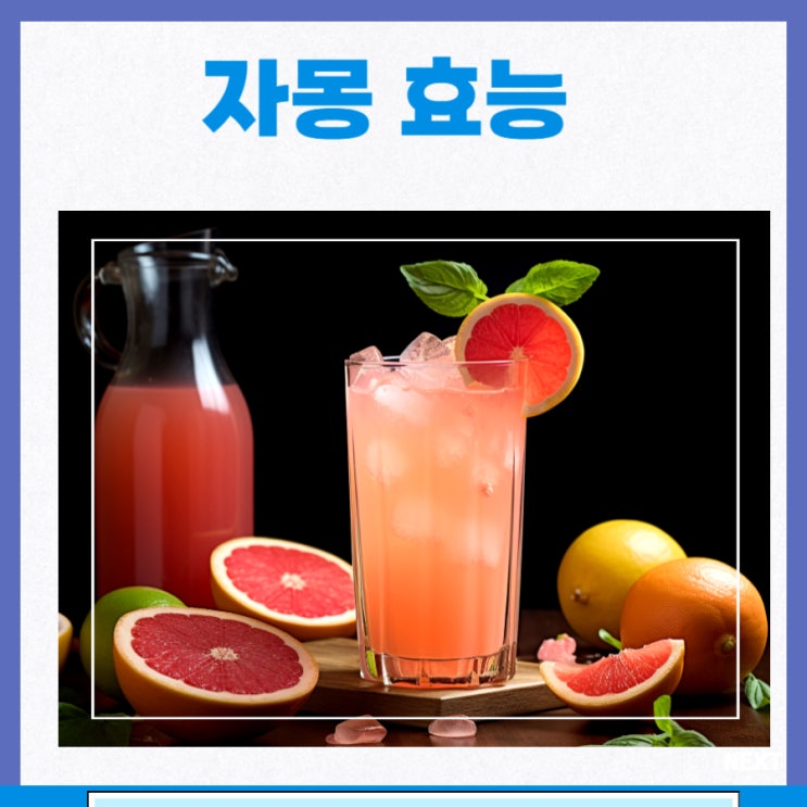 자몽 효능 칼로리 시네트롤 효능 자몽차 : 네이버 블로그
