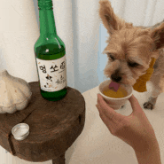 [댕그린 스토어] 강아지 소주 / 와인 / 맥주 유기농 비타민음료 완전 강츄츄~♥_연말에 댕댕이와 함께 한잔!