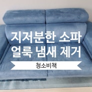 파주 소파 청소 운정 신도시 지저분한 쇼파 깨끗하게 클리닝하세요.