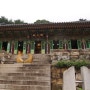 2022_07 강원 동해 삼화사 철조 노사나불좌상 (東海 三和寺 鐵造 盧舍那佛坐像) 보물