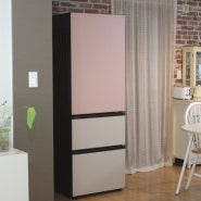주방인테리어 가전 엘지 LG 디오스 냉장고 구매 꿀팁 가이드 체크