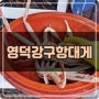 내돈내산 영덕강구항대게 먹방, 진주천황식당 석쇠불고기 육회비빔밥 찐 후기