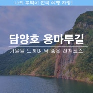 담양호 용마루길 가을의 색으로 물든 하루 산책 여행 코스로 딱!