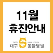 [대구S동물병원] 11월 휴진 및 진료시간 안내
