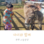 부천 나눔농장 4세 아기 동물 먹이주기 체험 김포공항 근처