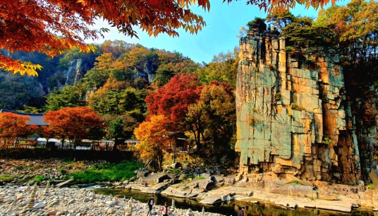 23.10월 단양팔경 사인암 가을풍경 ..... : 네이버 블로그