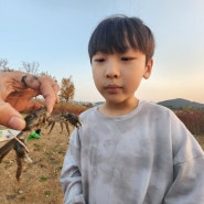 곤충집중반 수요일10.25 활동후기