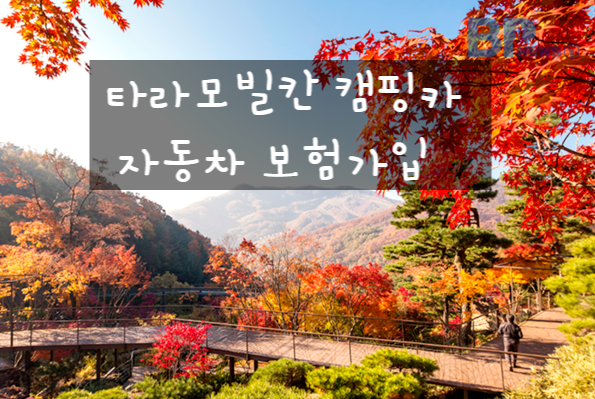 타라모빌칸(렉스턴칸) 캠핑카 자동차 보험가입 사례입니다 : 네이버 블로그