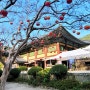 순천 송광사 근처 맛집 명궁관에서 남도전통한정식을 즐기다