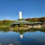 오사카여행1) 동대사,사슴공원,다이센정원,도톤보리