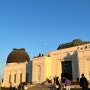 [미국서부여행]LA여행/할리우드공원/할리우드거리/그리피스천문대(griffith observatory)