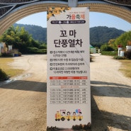 2023 울산 태화강국가정원 축제 첫날 후기 꼬마기차 시간표