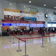 일본 오사카 간사이 공항에서 난바역 가는법 ! 라피트 난카이 특급열차 타고 이동하기 ( 예약 / 가격 / 시간표 / 소요시간 )