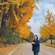 청주근교 가을명소 천안 독립기념관 단풍나무길