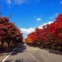 대둔산, 화려한 가을