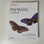 러닝 MySQL 도서 리뷰