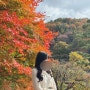 [화담숲] 2023.10.27 화담숲 다녀왔담◠ ̫◠ / with 아이폰 15pro+SONY A1