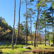 이천 장호원 진암공원 반려견 놀이터가 있는 깔끔한 휴식공간