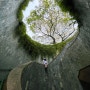 싱가포르 포트 캐닝 공원 산책, 포토스팟 트리터널 (Tree Tunnel)