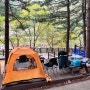 [횡성 캠핑] 선바위 자연캠핑장, 계곡과 빼곡한 나무가 있는 데크 캠핑장