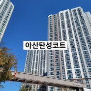 [아산탄성코트]이지더원