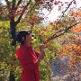 등산) 북한산 숨은벽 등산코스 (밤골 국사당-숨은벽-위문-북한산성탐방지원센터)