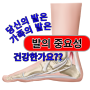 발의 중요성과 뼈 구조. 척추 못지않게 중요한 발의 역할과 건강