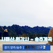 사패산 (2023.10.01) - 혼자가는산구경 ▲ 등린이도 오르는 서울근교 등산 '북한산 옆구리'