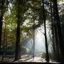 10월 의 인천대공원 아침 빛내림 풍경