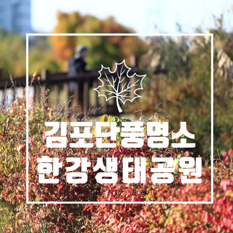 김포 단풍 명소 - 가을 단풍놀이 한강생태공원 나만의 김포 가볼만한곳 추천 : 네이버 블로그