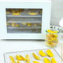 식품건조기 고구마말랭이만들기 단미 가정용 소형 미니 4단 사용법