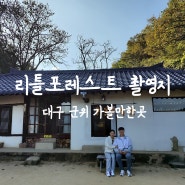 경북 군위 가볼만한곳 리틀포레스트 촬영지 혜원의집, 대구 근교 군위 단풍명소