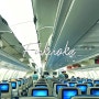 [후쿠오카🏯] 후쿠오카 공항과 후쿠오카-인천 대한항공 KE782 에어버스 A330 탑승후기