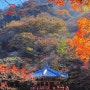 뚜벅이 내장산국립공원 단풍여행, 서울 출발 여행사 버스로 당일치기