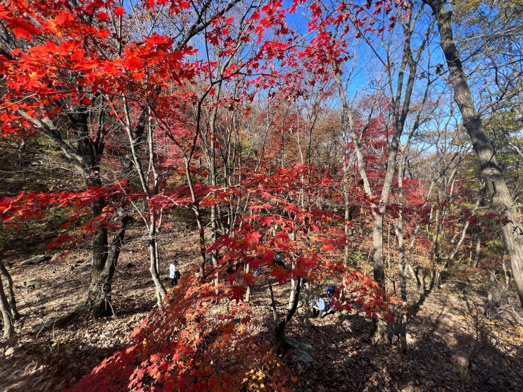 27. 소요산 (단풍산행)