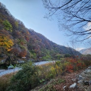 가평 중바위캠핑장 개울가5번