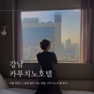 서울 애견 동반 호텔 강남 카푸치노 호텔 최저가 할인 예약 법
