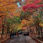 인제 하추리 산촌축제