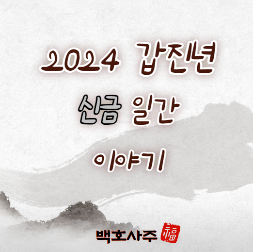2024 갑진년 신금 일간, 운세 이야기! : 네이버 블로그