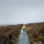 뉴질랜드 통가리로 국립공원 - 숙소, 힘들었던 트레킹 후기