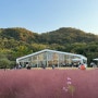 천안 이숲 핑크뮬리 명소 대형카페
