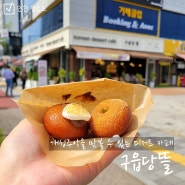 영종도 구읍뱃터 카페 개성주악 맛집 구읍당뜰