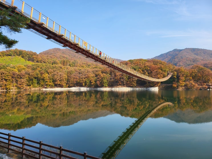 가을이 깃든 마장호수 둘레길, 출렁다리 : 네이버 블로그