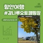 경남 함안 강나루오토캠핑장(10.29~10.30) J9사이트 이용후기