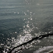 강원 / 하루종일 예쁜 가을바다 양양해수욕장추천 동호해변!