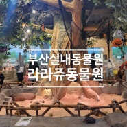 부산아기랑가볼만한곳::부산실내동물원 라라쥬동물원
