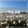 서울 가을 나들이, 상암 하늘공원 억새축제 (ft. 코스모스 장미광장, 맹꽁이 전기차)