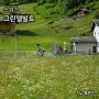 스위스 그린델발트 전경 자전거 하이킹 풍경