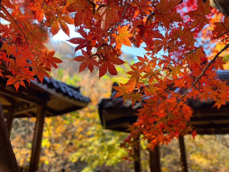 소요산 단풍 및 주차정보